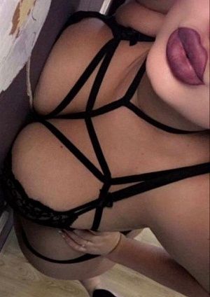 Детализированные фото и отзывы Ариана